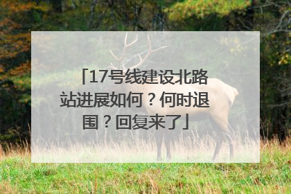 17号线建设北路站进展如何？何时退围？回复来了