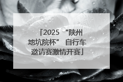 2025 “陕州地坑院杯” 自行车邀请赛激情开赛