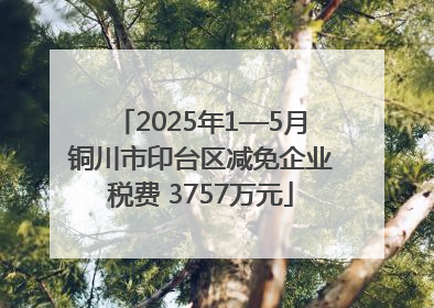 2025年1—5月铜川市印台区减免企业税费 3757万元