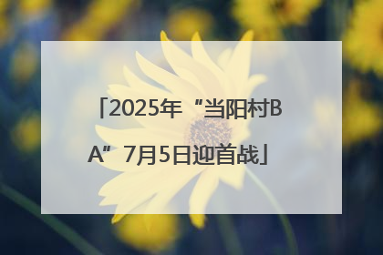 2025年“当阳村BA”7月5日迎首战