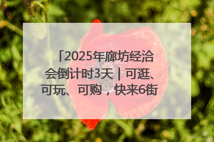 2025年廊坊经洽会倒计时3天｜可逛、可玩、可购，快来6街16巷逛市集