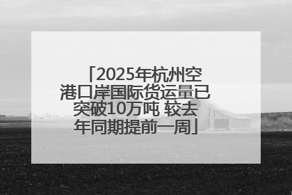 2025年杭州空港口岸国际货运量已突破10万吨 较去年同期提前一周