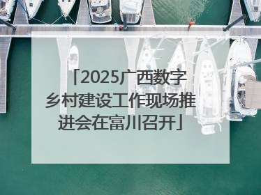 2025广西数字乡村建设工作现场推进会在富川召开