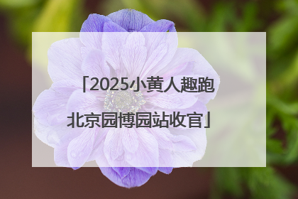 2025小黄人趣跑北京园博园站收官