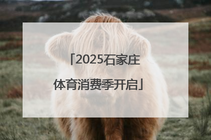 2025石家庄体育消费季开启