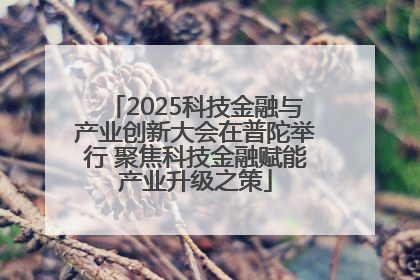 2025科技金融与产业创新大会在普陀举行 聚焦科技金融赋能产业升级之策