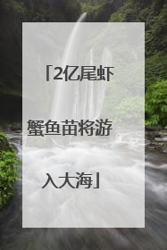 2亿尾虾蟹鱼苗将游入大海