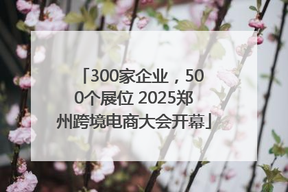 300家企业，500个展位 2025郑州跨境电商大会开幕