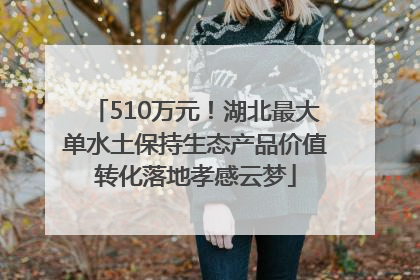 510万元！湖北最大单水土保持生态产品价值转化落地孝感云梦