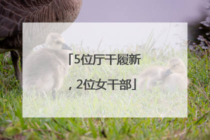 5位厅干履新，2位女干部