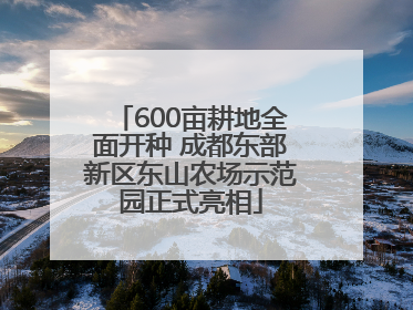 600亩耕地全面开种 成都东部新区东山农场示范园正式亮相