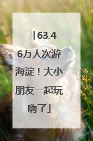 63.46万人次游海淀！大小朋友一起玩嗨了