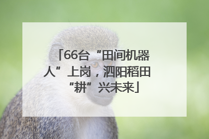 66台“田间机器人”上岗，泗阳稻田“耕”兴未来