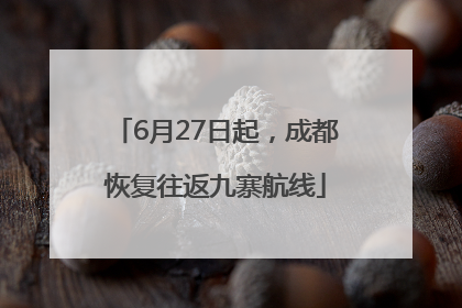 6月27日起，成都恢复往返九寨航线