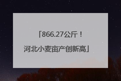 866.27公斤！河北小麦亩产创新高