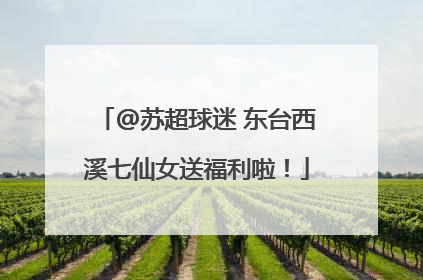 @苏超球迷 东台西溪七仙女送福利啦！
